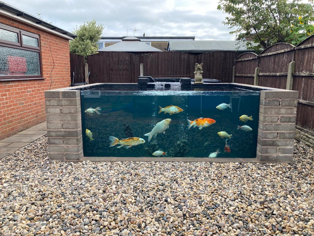 Pond Window – A Clear View Into Your Underwater World